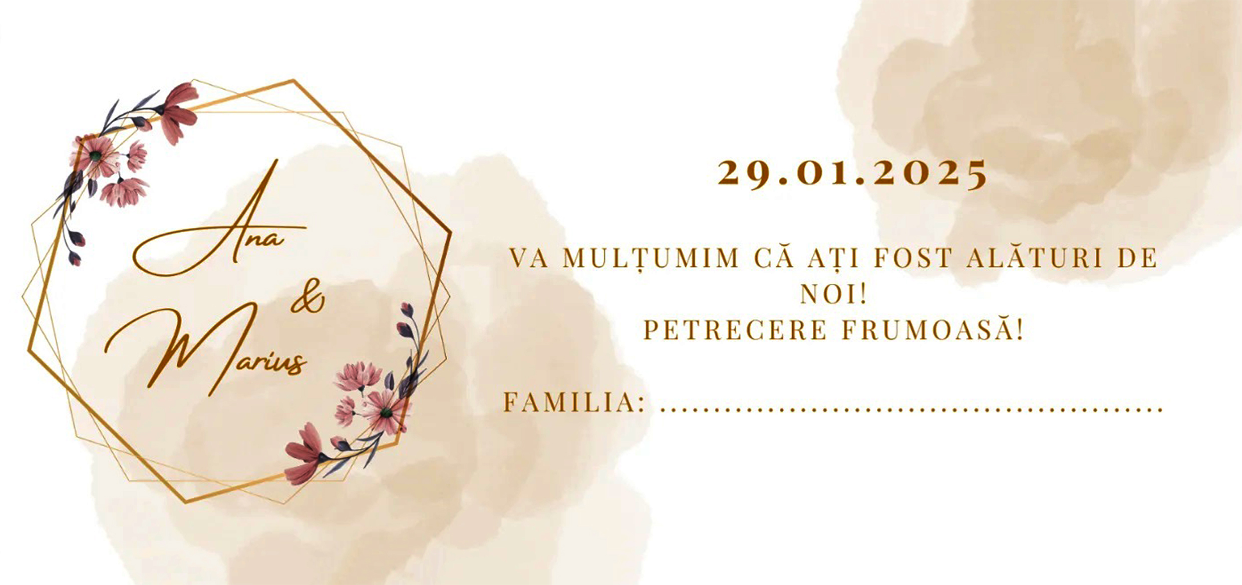 Plic de bani model1 (Copy)