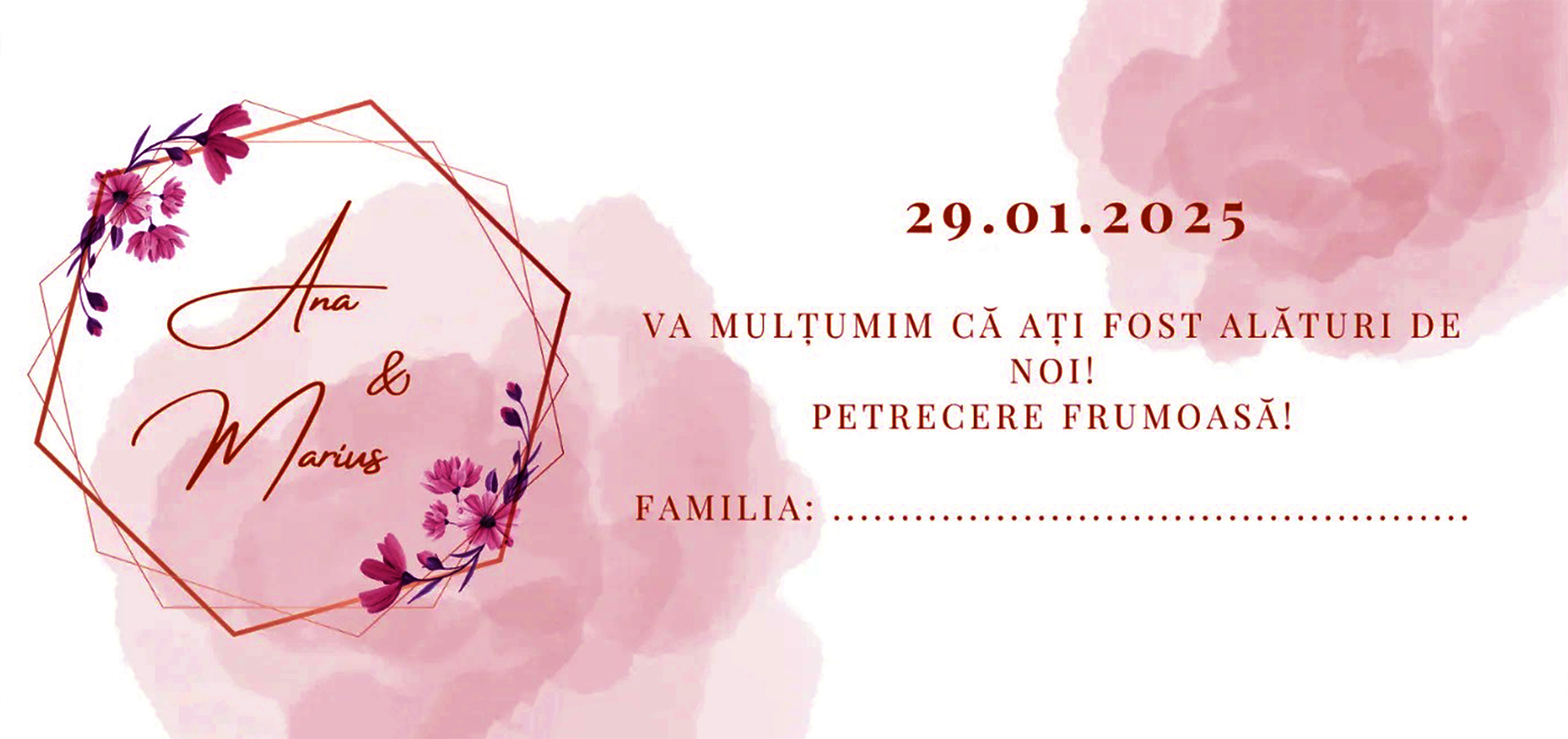 Plic de bani model2 (Copy)